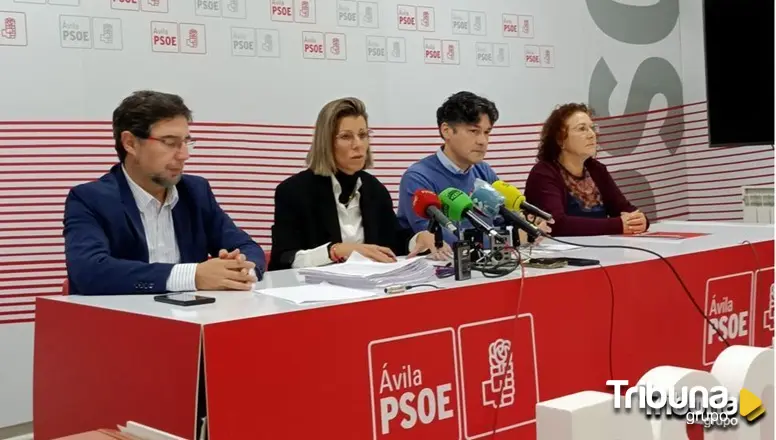 El PSOE de Ávila apoyan la concentración de este domingo   