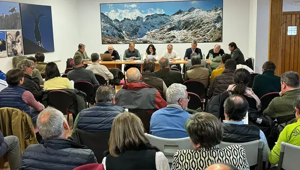 Casi un millón de euros en la subasta de la Reserva de Caza de Gredos 