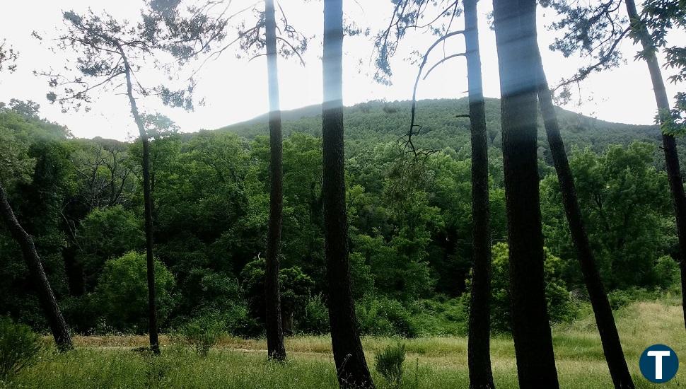 La reducción de daños en incendios, a debate en Piedralaves