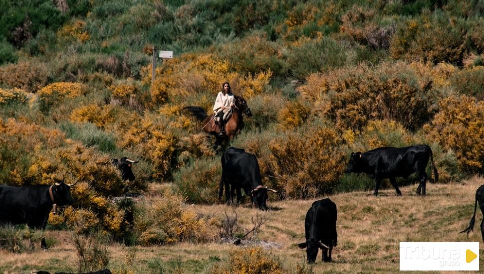 La trashumancia, en peligro por decisiones de la Junta de Extremadura