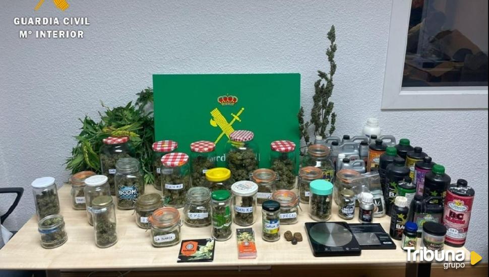 Detenidas tres personas en Arévalo por cultivar marihuana en un laboratorio 'indoor' 