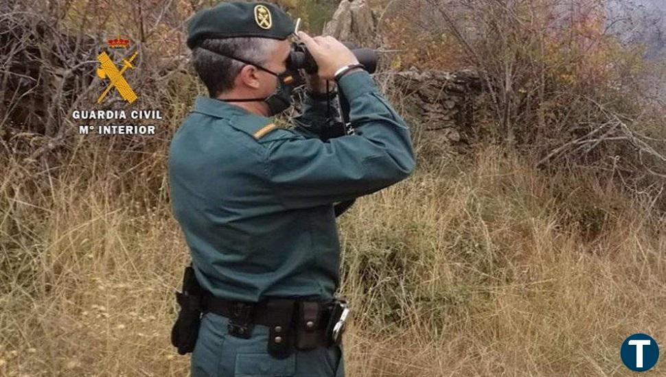 Un detenido y varias denuncias, resultado de los operativos contra la caza furtiva en la provincia de Ávila