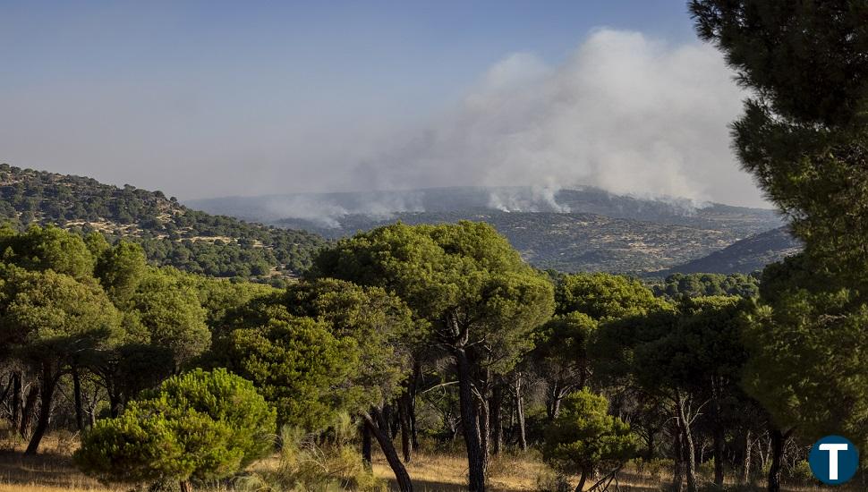 Las líneas de defensa del incendio de Cebreros se ubican en el barranco de Castrejón y al norte de Hoyo de Pinares