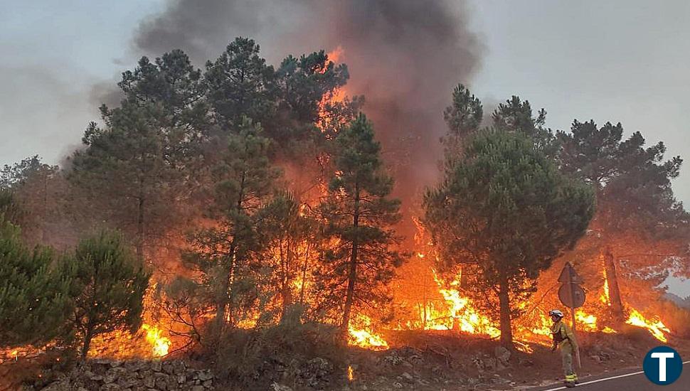 El incendio de Cebreros se "mantiene complicado y con vientos cambiantes"