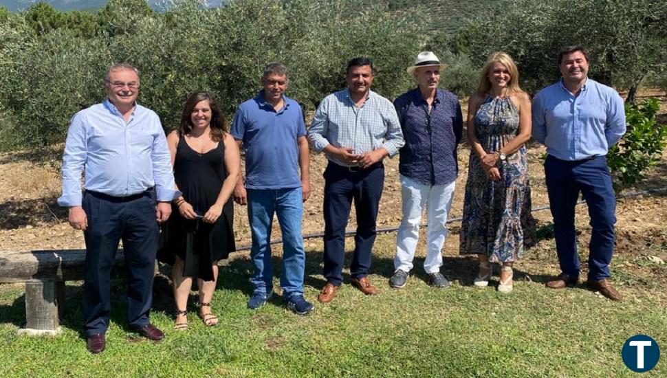 Nuevo paso para conseguir la denominación DOP de aceite de oliva virgen extra de la provincia