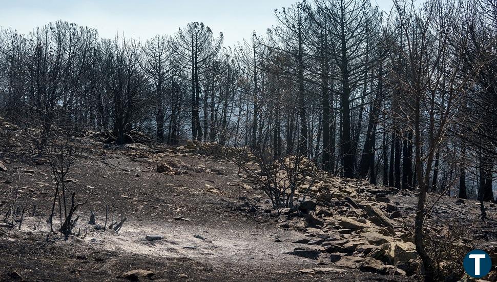 Una reproducción del incendio de Cebreros moviliza a 13 medios aéreos que logran frenar el avance de las llamas