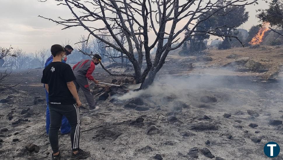 "Evolución favorable" del fuego de San Juan de la Nava que "habría sido provocado"