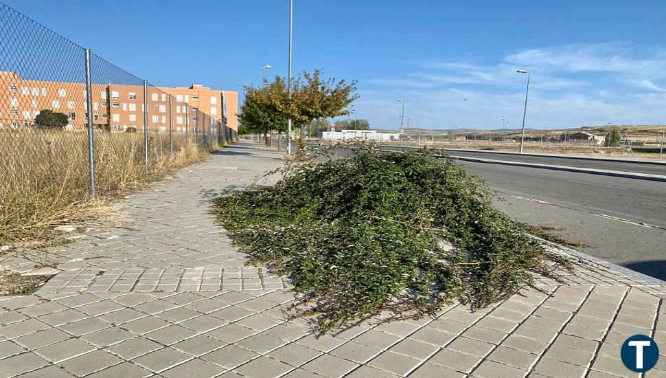 Encinar reitera al equipo de Gobierno la necesidad de llevar a cabo tareas de desbroce y limpieza de maleza