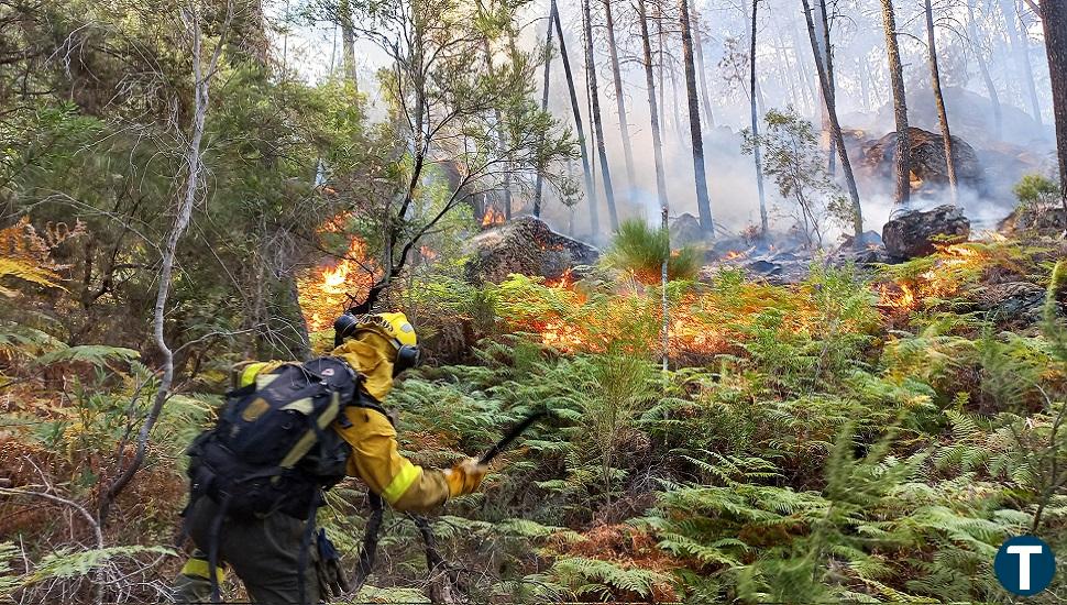 Un brigadista herido en una rodilla durante la extinción del incendio en Santa Cruz del Valle