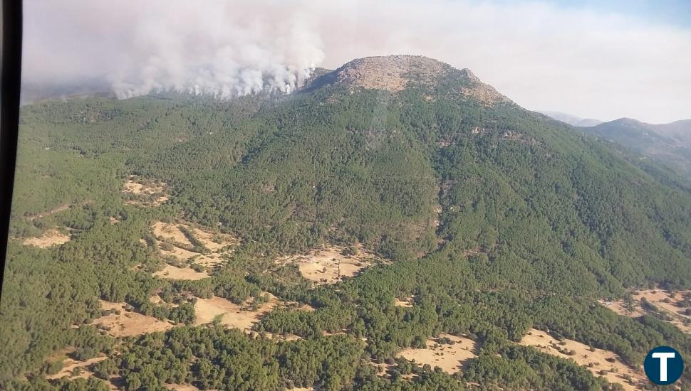 Director técnico de extinción en Santa Cruz del Valle: "Algún cretino lo ha prendido"