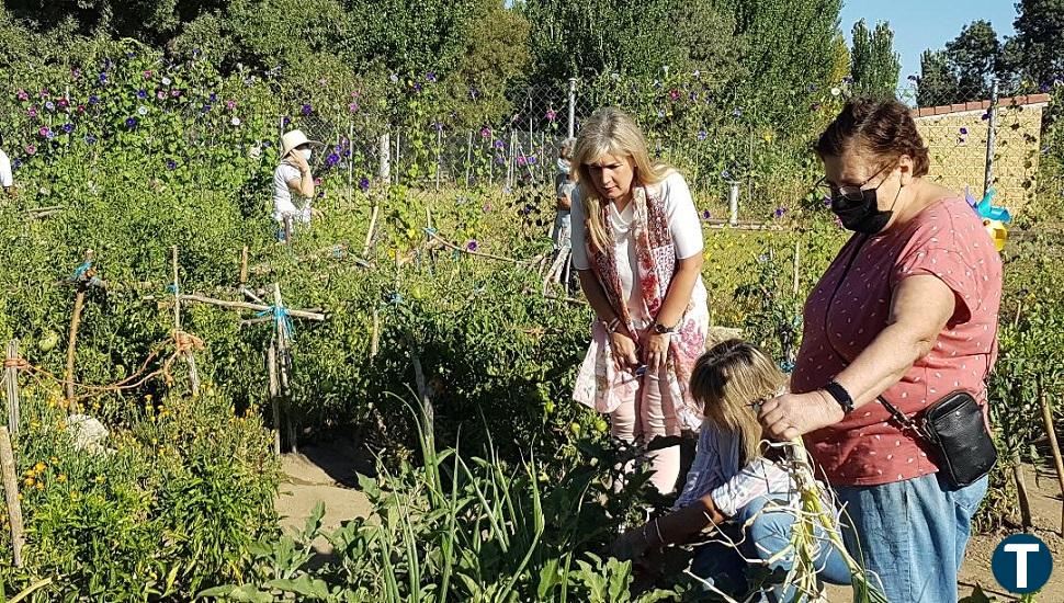 Educación ambiental y envejecimiento activo en el programa de huertos urbanos