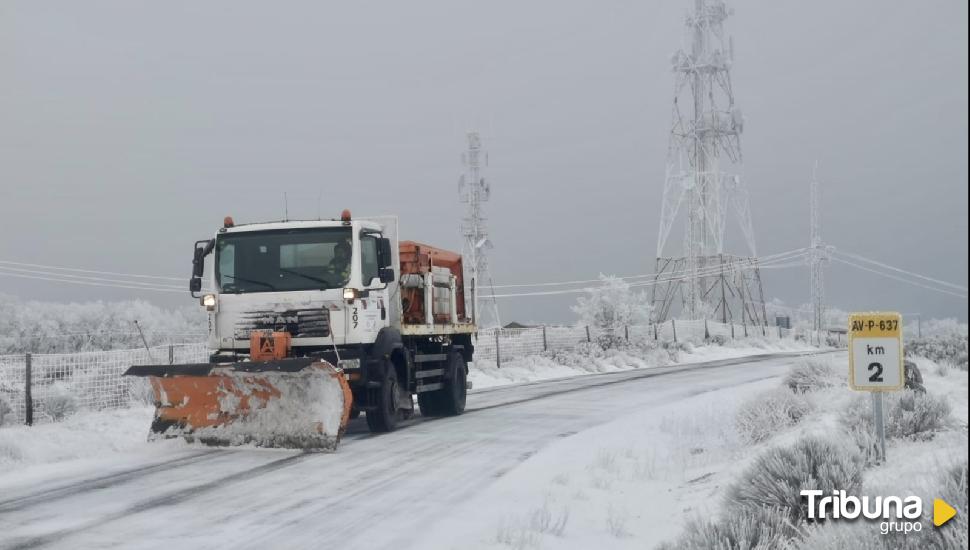 El operativo de la Diputación limpió casi 800 kilómetros de carreteras de la provincia