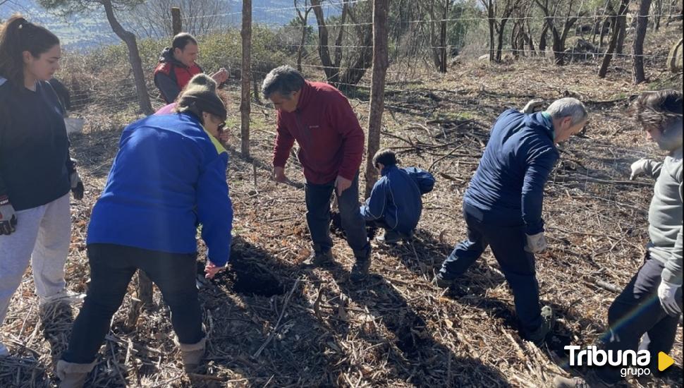 Nueva plantación de 250 árboles en la segunda jornada de reforestación en Pedro Bernardo