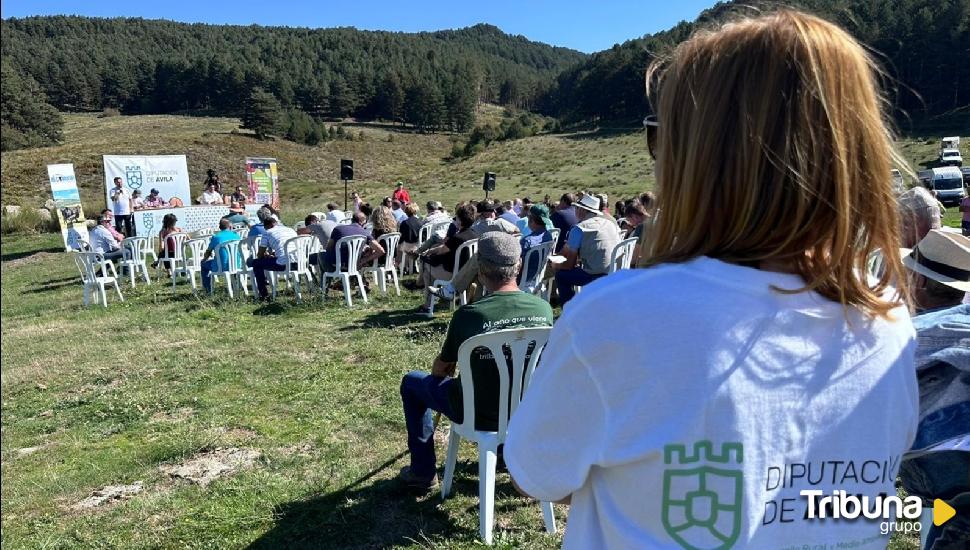 La Diputación cierra con éxito la 37 subasta de raza Avileña Negra Ibérica