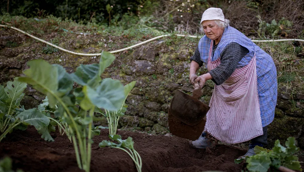 Cine y teatro para celebrar el día de la Mujer Rural en Mijares