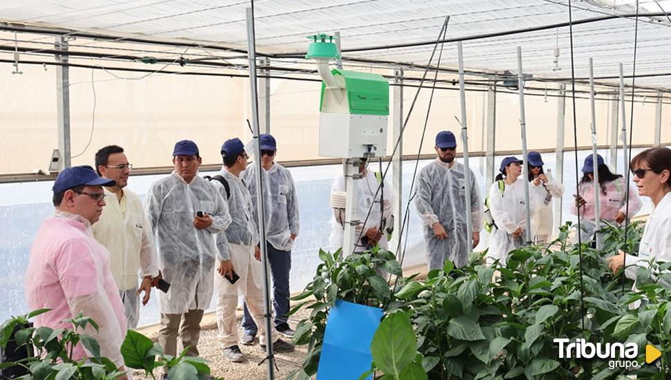 UCAV y la Universidad ESAN de Perú desarrollan un programa sobre empresas del sector agroalimentario