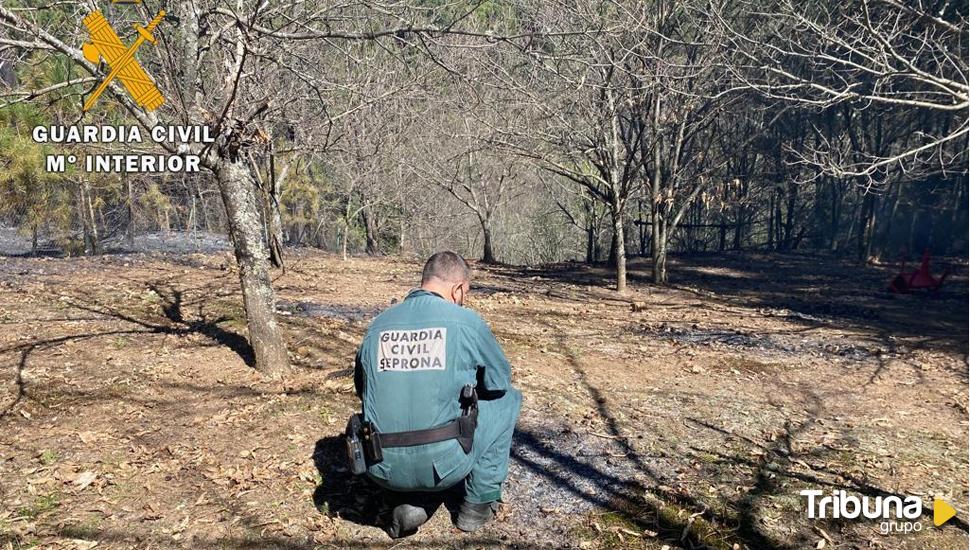 Investigada una persona por el incendio de Santa María del Tiétar el pasado agosto