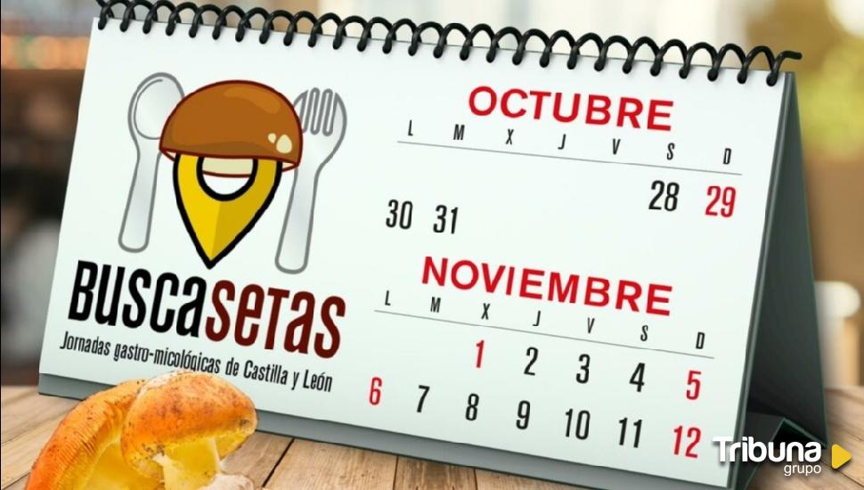 Jornadas Buscasetas en diez restaurantes abulenses