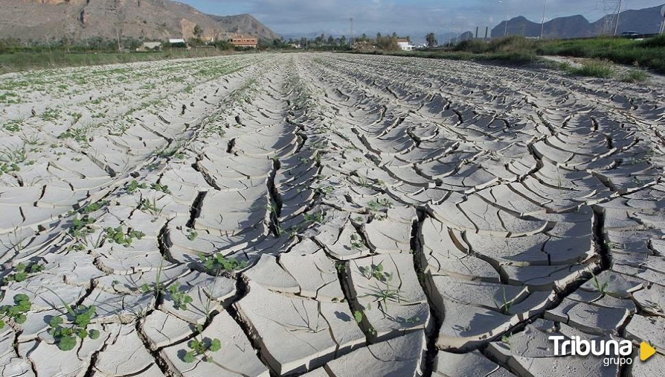 Cambium se pregunta: ¿cómo respira Ávila?