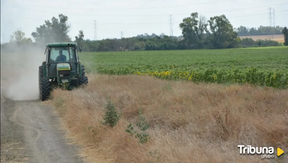 Diputación aborda la huella de carbono en explotaciones agrícolas