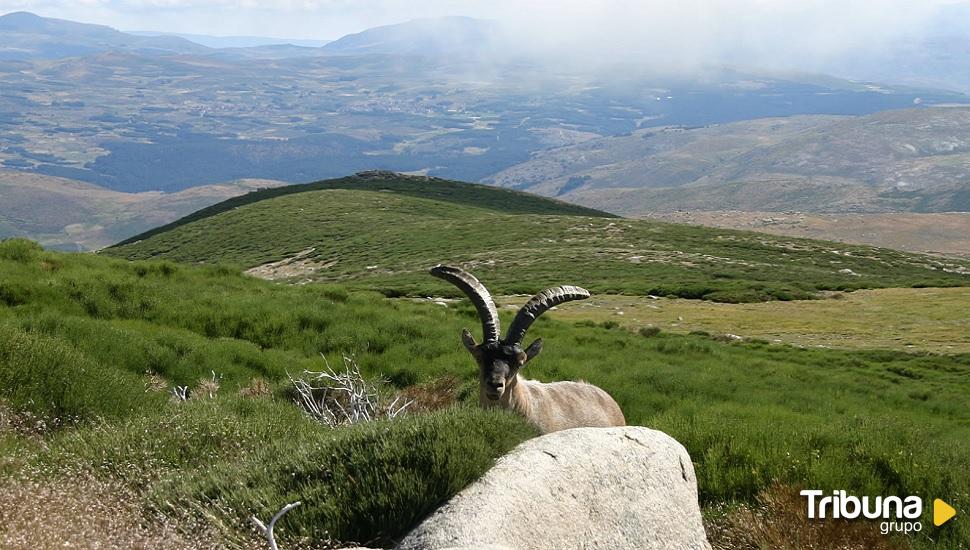 La Junta licita por más de 330.000 euros las mejoras de los accesos a Gredos