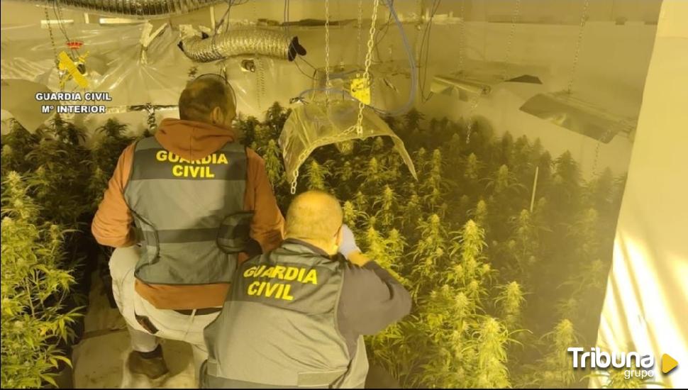 Localizados dos laboratorios de marihuana en una vivienda de Navahondilla