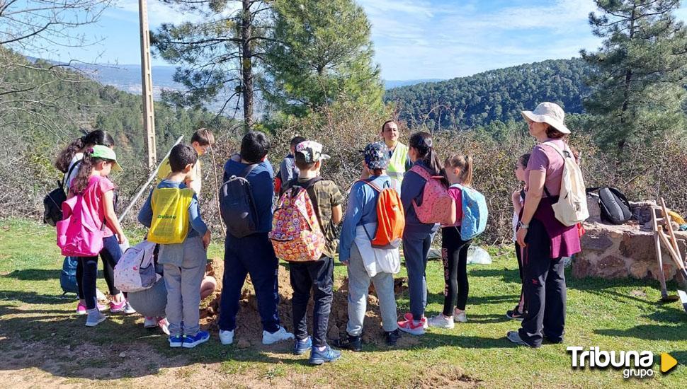 40 cerezos para recibir la primavera en El Tiemblo