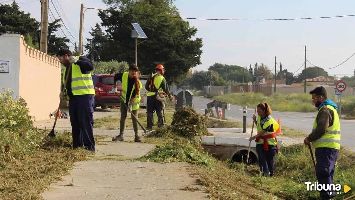 El Ayuntamiento adjudica los trabajos de desbroce de la ciudad