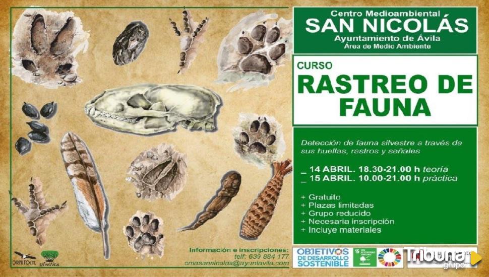 Actividades esta semana: día del niño, año jubilar y taller rastreo de fauna