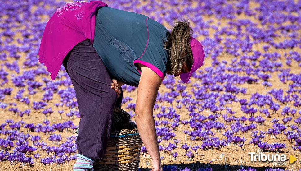 60 trabajos para el XIII Concurso de Fotografía 'Por Igual'