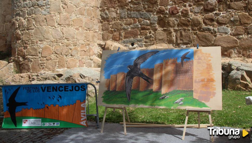 Primera actividad del II Festival de los Vencejos en Ávila