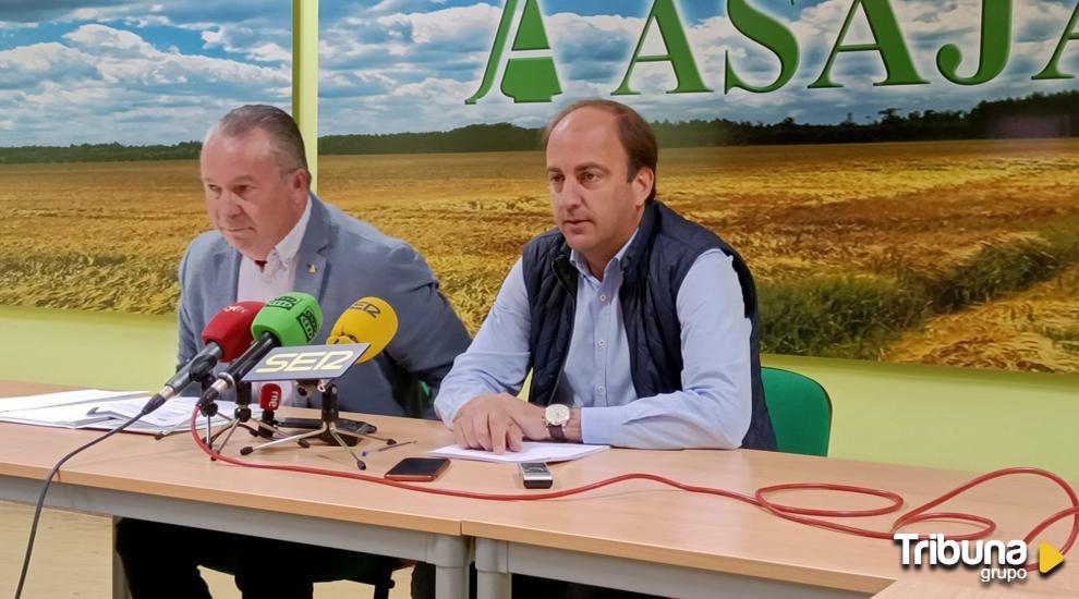 ASAJA mide en 140 millones de euros las pérdidas por la sequía en Ávila