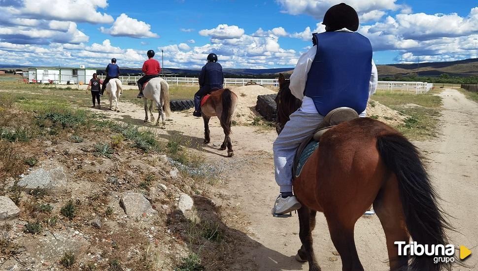 Terapia para la salud mental con caballos