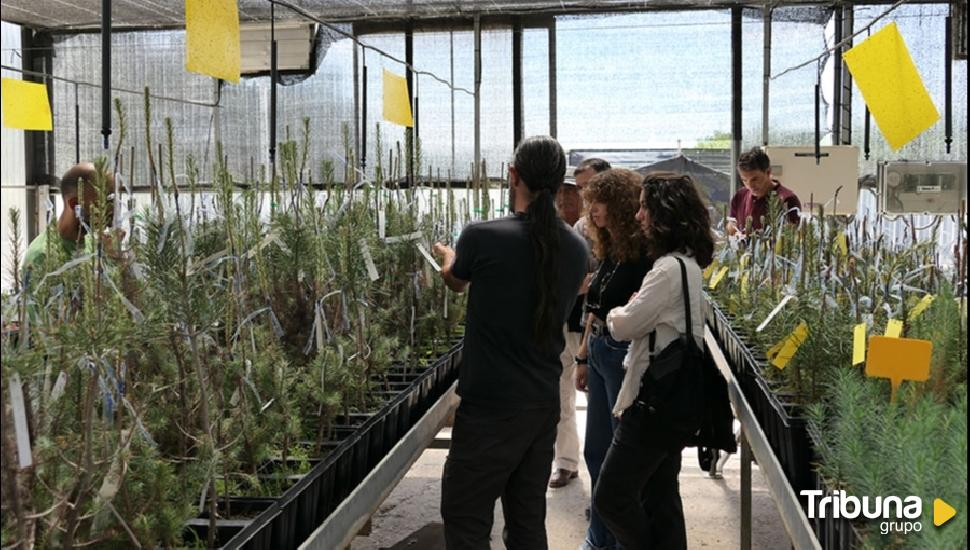 Alumnos de la UCAV visitan el Centro Nacional de Recursos Genéticos forestales