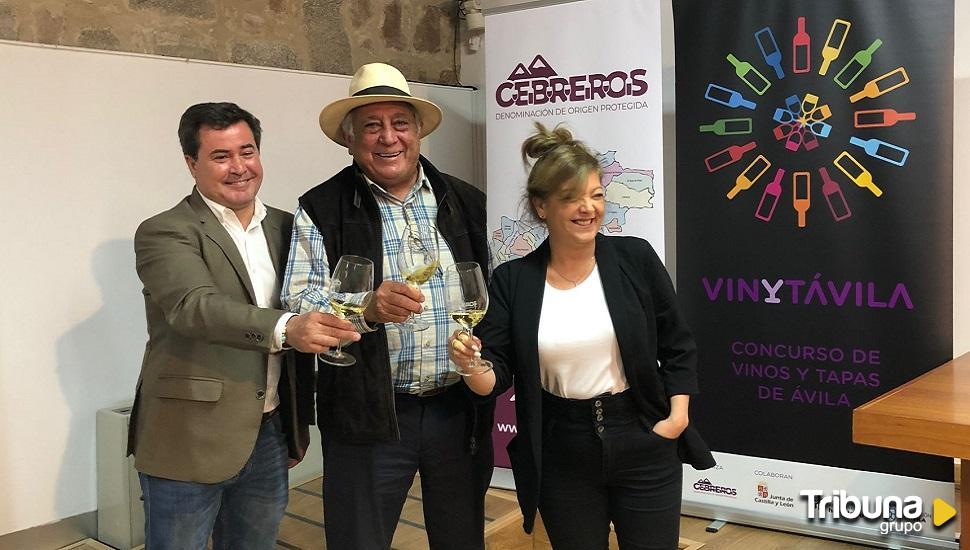 8 bodegas de la provincia y 8 bares de Ávila, así será VinytÁvila