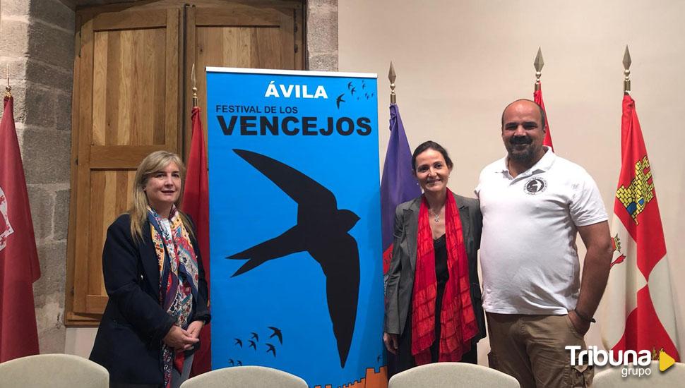 Los vencejos, protagonistas este fin de semana en Ávila