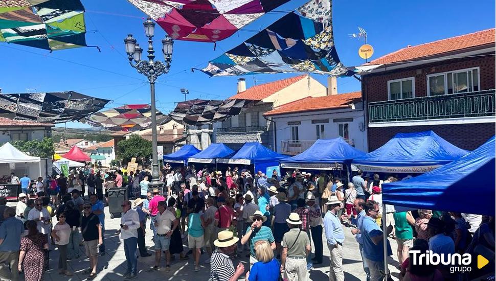 La V Fiesta de la Mancomunidad del Alberche acoge a más de 2.000 personas