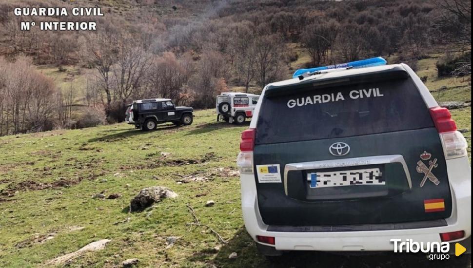 Golpe a la caza furtiva en la Sierra de Gredos