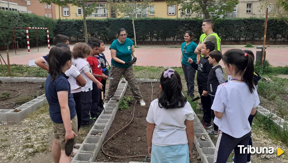 La UCAV desarrolla un proyecto a través del huerto escolar urbano