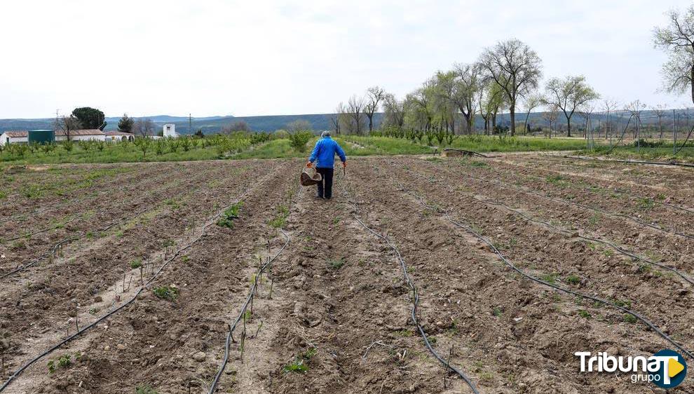 Por Ávila lamenta que las ayudas de la Diputación "no acaben llegando" a agricultores y ganaderos