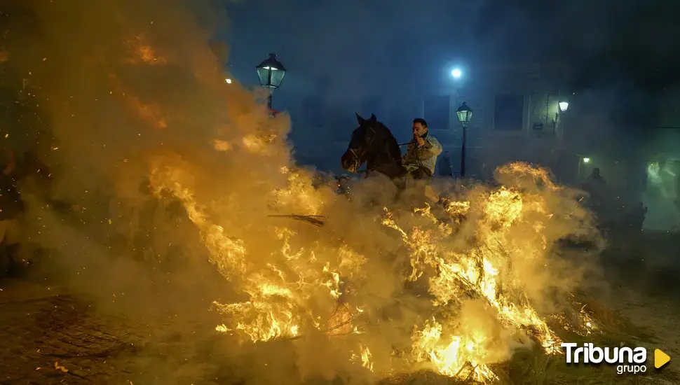 PACMA denuncia maltrato a los caballos durante las Luminarias de San Bartolomé de Pinares