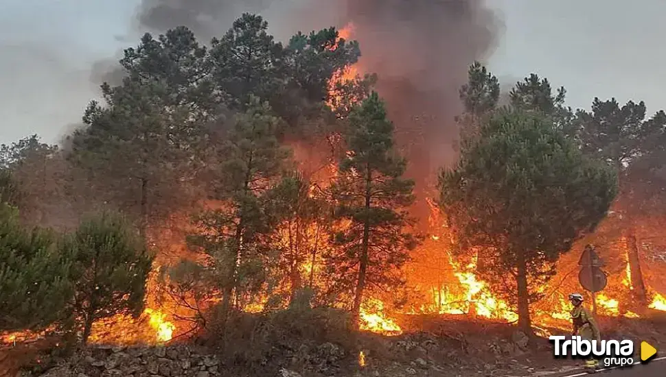 A disposición judicial el presunto autor del incendio forestal de Umbrías