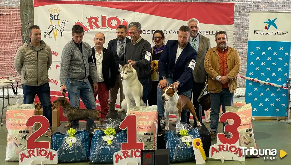 Un centenar de participantes en el I Concurso Canino de Ávila