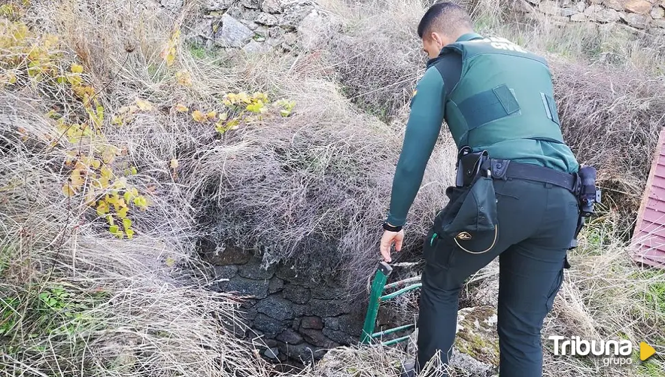 Rescatado un mastín atrapado en un pozo en El Hoyo de Pinares