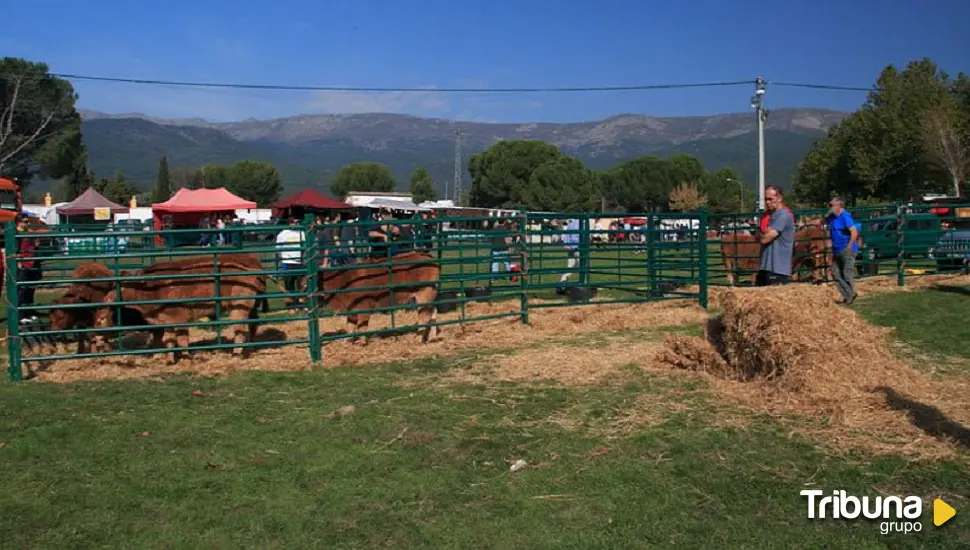 Tradicional Feria de Los Santos en La Adrada