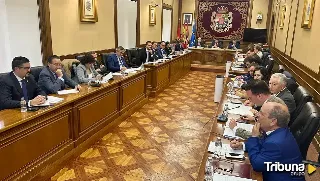 El Pleno ratifica la prórroga del Plan Territorial de Fomento para Ávila hasta 2027