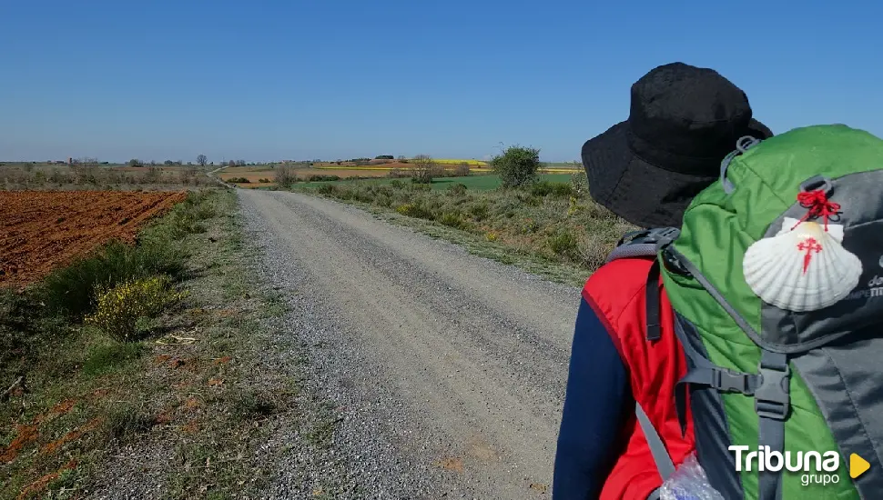 Despertando al peregrino interior: Una guía completa del Camino Portugués