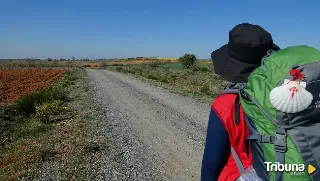 Despertando al peregrino interior: Una guía completa del Camino Portugués