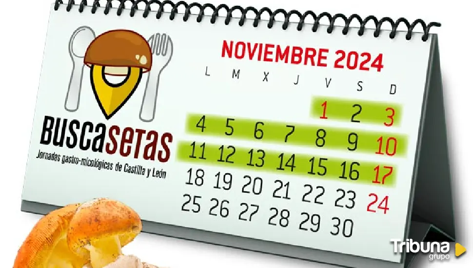 Ocho restaurantes abulenses participan en Buscasetas 2024