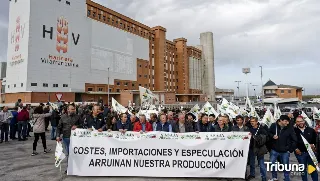 Los agricultores protestan en Arévalo por crisis económica del sector cerealista